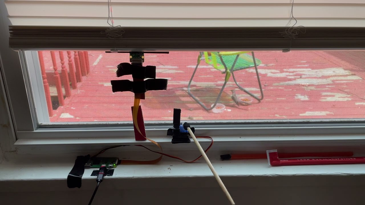 catbot_bird - YouTube