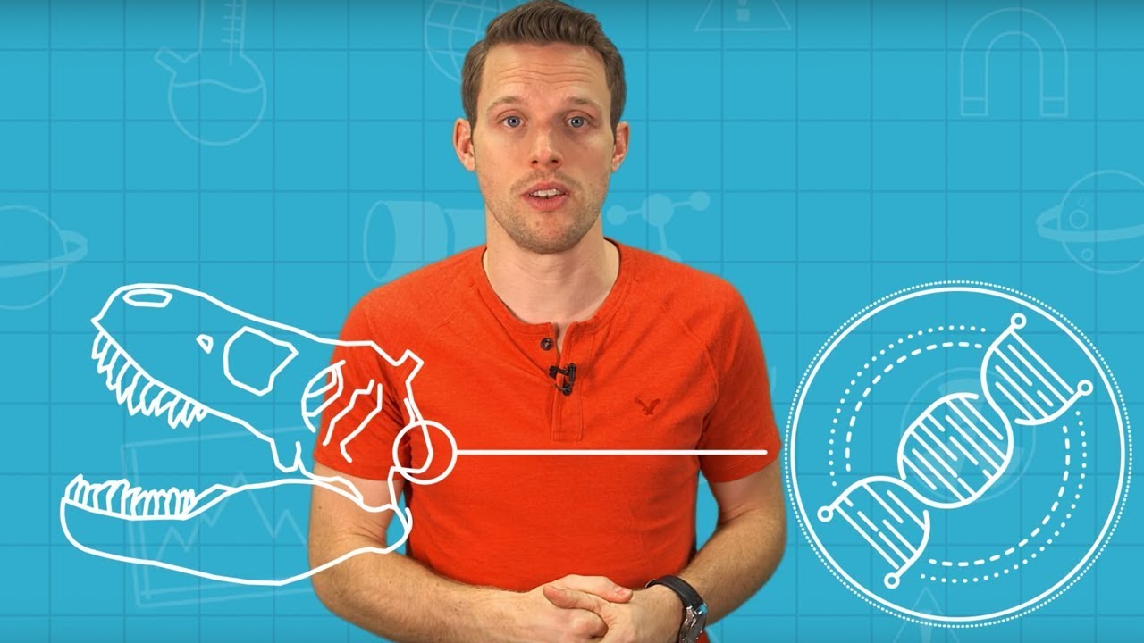 Can You Become A Fossil? | Earth Science