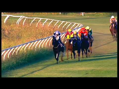 Galoppo 26/08/2020 - 2ª corsa