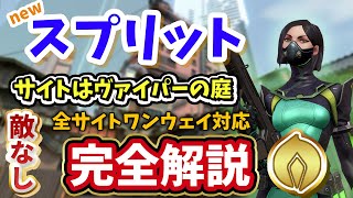 【VALORANT】すべての入りを抑える！ヴァイパー防衛プリセット・設置阻止/スプリット【ヴァロラント】