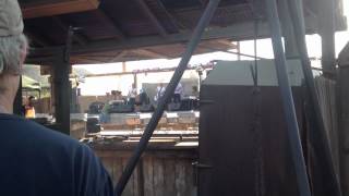 Chris Shiflett and The Dead Peasants