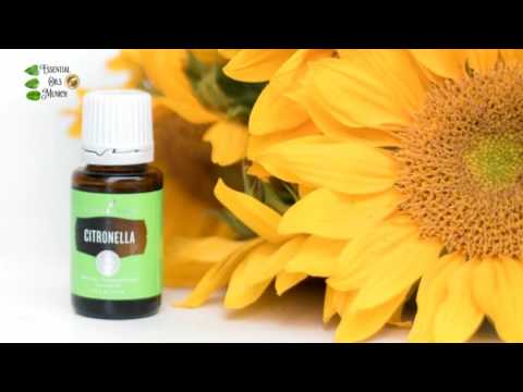 Beautiful things don't ask for attention - Essential Oils