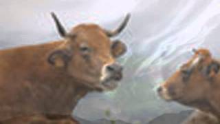 Shirley Horn - Lazy Afternoon