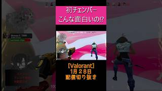 【社会人ランク挑戦#57】ブロンズ社会人は働きながらランクを上げられるのか？ #shorts #valorant #valorantshorts #ヴァロラント #雑魚サラリーマン