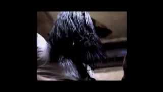 Andrew W.K. Really In love (1999 - Recording Sessions)