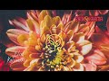 Kalurium Bliss RadioKarma