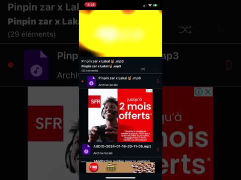 PINPIN ZAR - veski la misère (EXCLU)