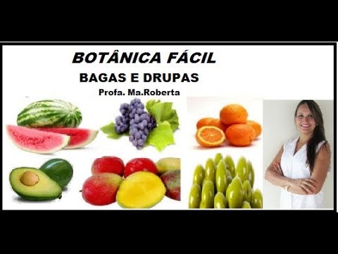 Botânica fácil. Classificação de frutos carnosos. Bagas e Drupas.