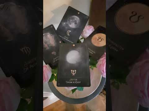 Der Vollmond in der Jungfrau am 24.02.2024 sendet gute Energien und Chancen für die Zukunft 🌕