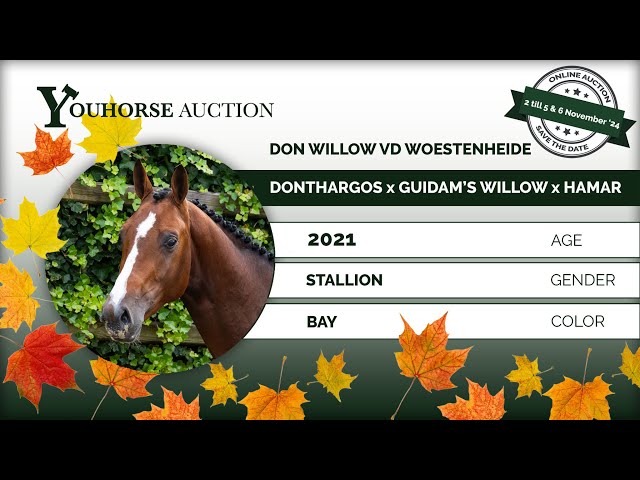 Don Willow vd Woestenheide