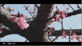 ＊歌だけ歌ってみた＊　春に一番近い街/GUMI（40㍍）