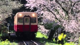 Yumi Matsutoya - Haru yo koi