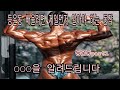 등운동 배울려면 제일먼저 알아야 하는 동작 OOO!!! (등운동 하기전 필수로 알아야됨)