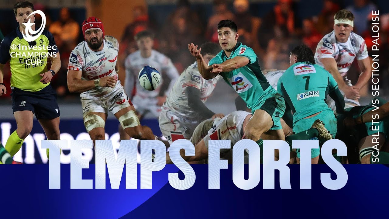Temps Forts - Scarlets v Section Paloise  | Investec Champions Cup 2025/26