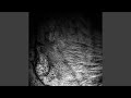 Field of Skin, Pt. 9