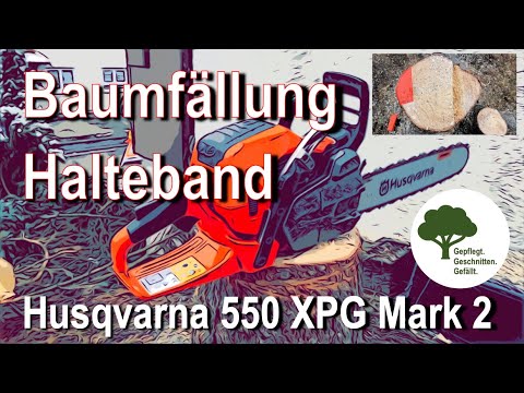Husqvarna 550 XPG Mark 2 - Baumfällung mit Halteband - Sicherheitsfälltechnik - mit Skizzen