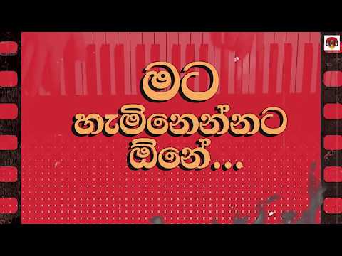 Dimi3 - Mata Haminennata Ona (මට හැමිනෙන්නට ඕන) - Official Lyric Video