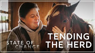 Wild horses adapt to climate change impacts on their barrier island home | State of Change