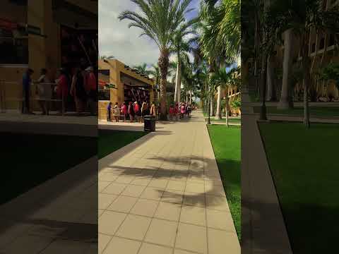 Riu Santa Fe Cabo San Lucas, Riu Pink Party #riu #riuhotels  #riusantafe #riuparty #riusantafecabosl