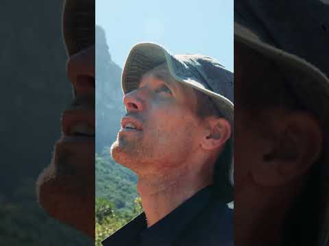 Bïndo • Kirstenbosch • Dave Winter • 1 April • Falcon