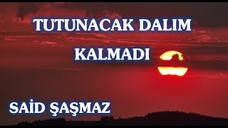 Said Şaşmaz - Tutunacak Dalım Kalmadı