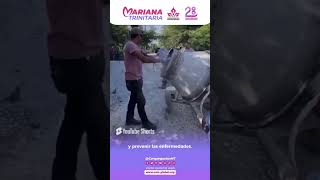 CMTIP: La cadena de Vivienda CMT