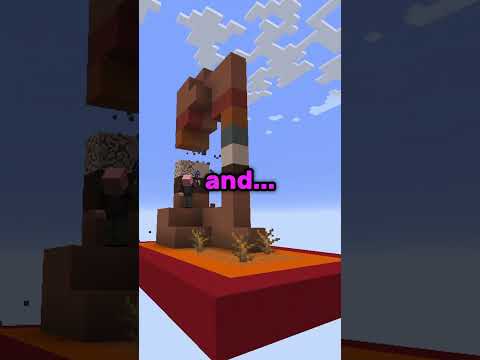 Minecraft's ACTUAL rarest biome...