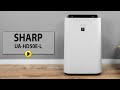 Увлажнитель воздуха Sharp UAHD50E-L