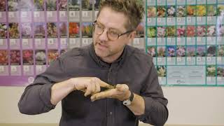 Soil texture by feel demonstration