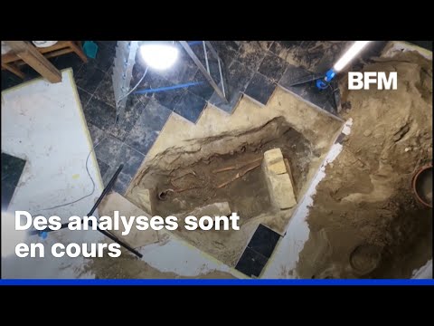 🤺 Encuentran en Maastricht un esqueleto que podría pertenecer al legendario mosquetero D’Artagnan