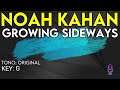 Noah Kahan - Growing Sideways - Karaoke Instrumental