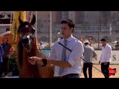 Menton 2018 - Class 2B