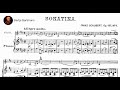 Franz Schubert - Violin Sonatina No. 1 (1816) {Szeryng/Haebler}