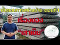 สร้างบ้าน