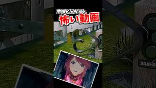 深い意味はありません。