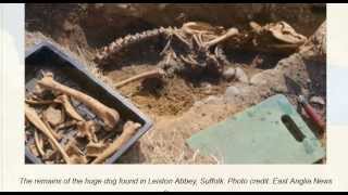 Did Hellish Animals Really Exist--and More Fabulous Findings