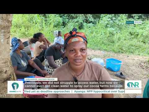 Galamsey Threatens Cocoa Farms and Water Bodies in Wassa Amenfi West | Climate Crisis Deepens
