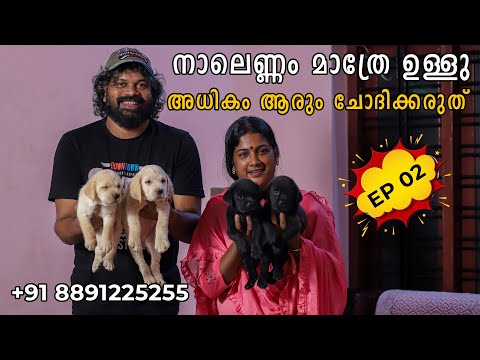 നാലെണ്ണം മാത്രേ ഉള്ളു അധികം ആരും ചോദിക്കരുത് | PUPPIES EP 02 |Pashanam Shaji | Resmi Saju