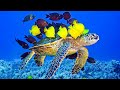 Музыка для души Нежная лечебная музыка здоровья и для �