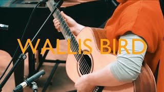 Wallis Bird - Control (Live in Studio 8)