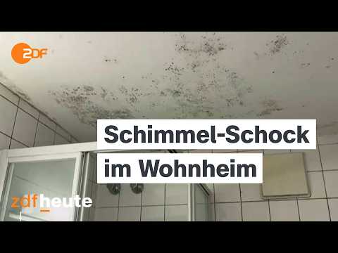 Reportage: Schimmel und Dreck - Wohnheimfrust in München