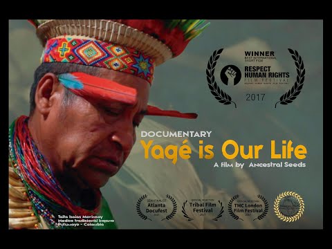 Yagé is Our Life - Documentary