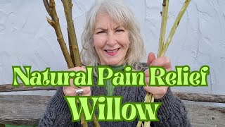 Natural Pain Relief - Willow