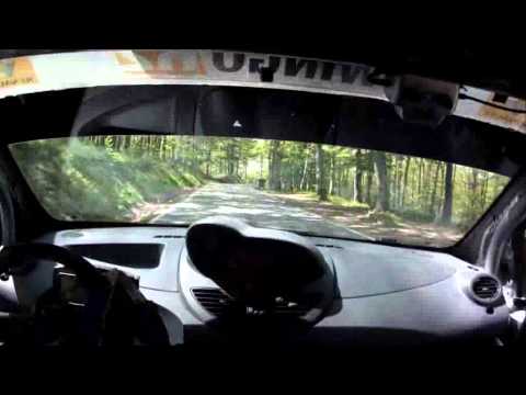 Cameracar 31° Abeti Matteuzzi G.-Piazzini M.