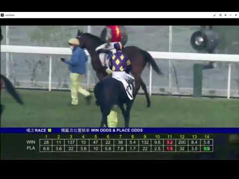 2021 01 17 沙田 第十場 賀銘年 疾風明駒