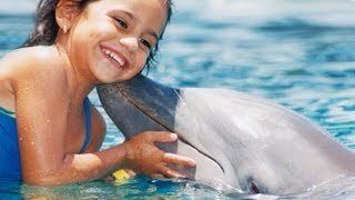 Swim with dolphins in Cancun (Isla mujeres)