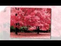 Crossfade - A Deeper Shade Of Love