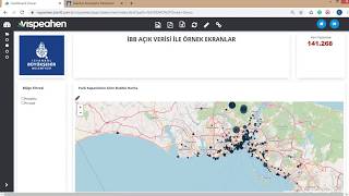 Vispeahen Veri Analiz Platformu / İş Zekası Dashboard Oluşturma