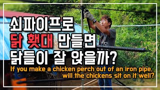쇠파이프로 야외 공간 횃대 만들기 과연 닭들은 좋아할까? 닭장은 업그레이드중