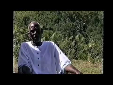 Dr SEBI on SAUCO (ELDERBERRY) - BENEFITS & PROPERTIES